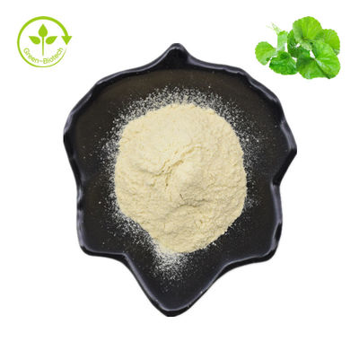 Hydrocotyle asiatica/Centella asiatica/poudre de Gotu Kola Extract 70% Asiaticoside
