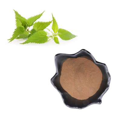 Poudre 3,4-Divanillyltetrahydrofuran naturelle de l'extrait 95% de racine d'ortie