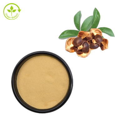 Saponine Camellia Japonica Seed Extract Powder de thé de 60% pour l'additif d'alimentation