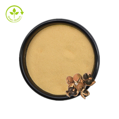 La saponine de Camellia Sinensis Seed Extract Tea saupoudrent 50% 60% 70% 80% 85% 90% 95% 98%