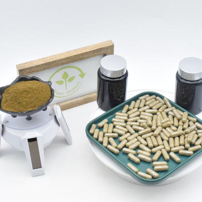 L'extrait Turkesterone de Turkestanica d'Ajuga capsule pour le bodybuilding