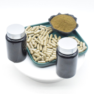 L'extrait de Turkestanica d'Ajuga d'OEM saupoudrent des capsules de 2% 10% 500mg Turkesterone