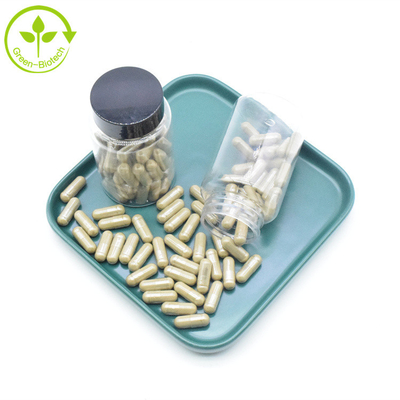 Capsules pures du supplément 2% 10% 40% 500mg Turkesterone d'extrait de Turkestanica d'Ajuga
