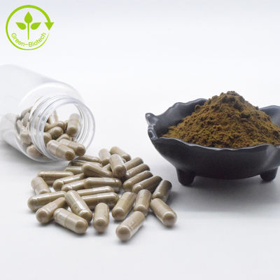 Supplément diététique de pilules de capsule de Turkesterone favoriser la force pour des capsules de Turkesterone 10% de Vegan d'adultes