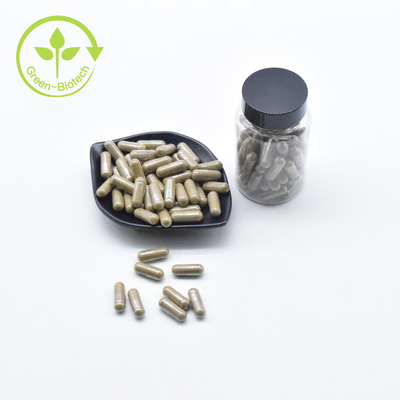 L'Ajuga pur Turkesterone de marque de distributeur de poudre de Turkesterone 40% de vente en gros d'usine capsule 500mg