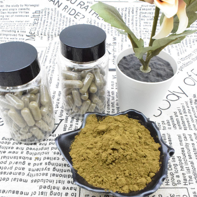 L'extrait de Turkestanica d'Ajuga saupoudrent l'extrait de 2% 10% Turkesterone
