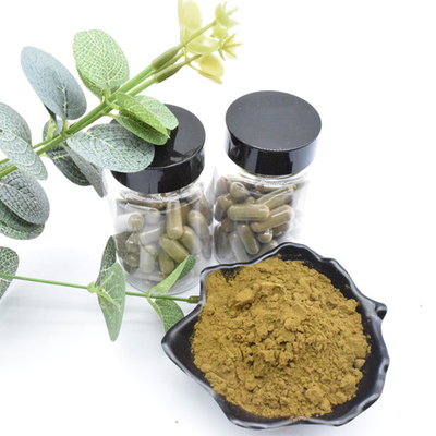 L'Ajuga de fines herbes Turkestanica d'extrait extraient la poudre de Turkesterone
