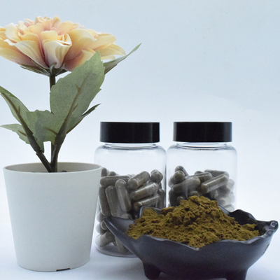 Poudre pure de turkesterone du turkesterone 2% 10% 40% d'extrait de turkestanica d'ajuga