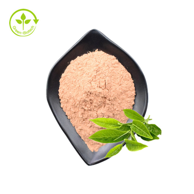 Polyphénols d'extrait de feuille de thé vert de catégorie comestible 98% catéchine 80% Egcg 60% poudre en vrac