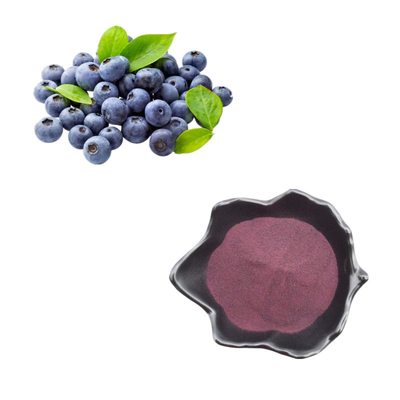 Poudre naturelle pure d'extrait de myrtille d'anthocyanine d'extrait de poudre de myrtille de poudre de fruit