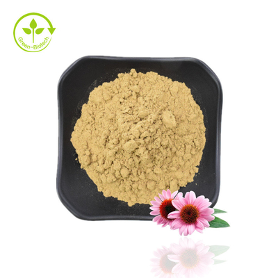 Polyphénols naturels 4 % Acide cichorique 1 % 4 % Extrait d'échinacée purpurea