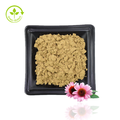 Fournir de l'extrait d'échinacée purpurée extrait d'échinacée extrait naturel de fleur d'échinacée purpurée 4% de polyphénols