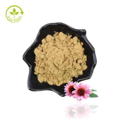 Fabrication d'approvisionnement Echinacea Purpurea Extrait d'échinacée d'acide chicorique