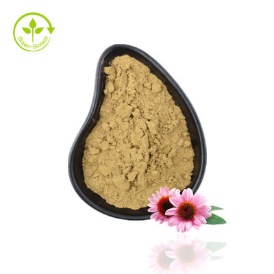 Approvisionnement d'usine Echinacea Powder Echinacea Purpurea Extract Echinacea Extract With High Quality
