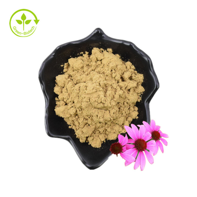 Poudre d'extrait de fleur d'échinacée purpurée d'acide chicorique pur de 4 % extrait d'échinacée purpurea