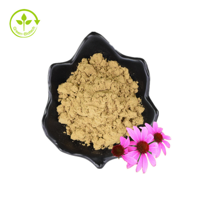 Extrait séché de graines de fleur de poudre de polyphénol organique Echinacea Purpurea
