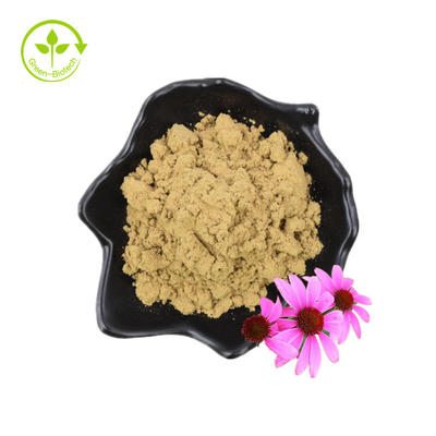 Echinacea Purpurea Extrait d'échinacée Extrait d'échinacée 4% acide chicolique