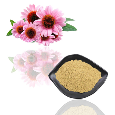 Extrait de fleur d'Echinacea Purpurea de poudre d'extrait de plante de catégorie comestible