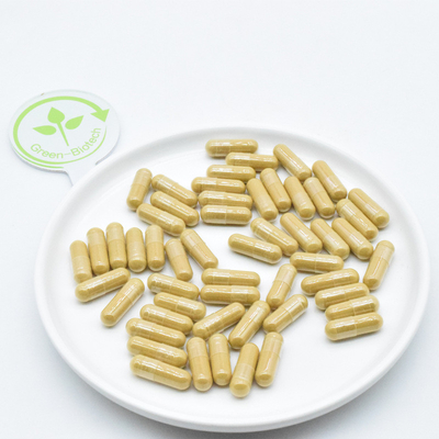 Extrait de racine naturelle de ginseng, poudre de ginseng fraîche séchée
