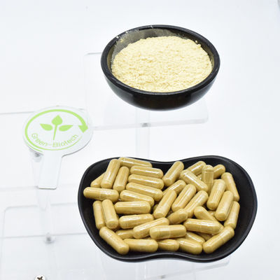 Extrait de racine de ginseng blanc séché de plante sauvage naturelle Norme de qualité UE Racine de ginseng