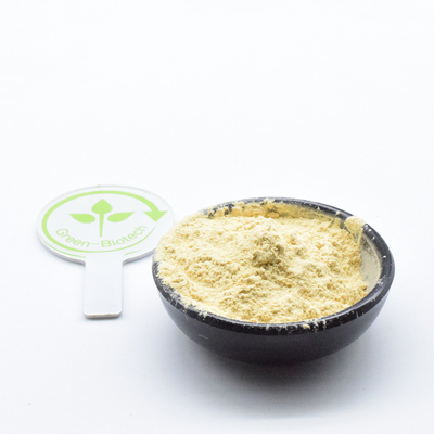 Supplément de soins de santé Pure Panax Ginseng en poudre Panax Ginseng Extrait 5% à 80% de ginsénoside