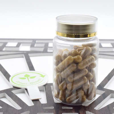 Poudre de racine de ginseng Panax Extrait de ginseng 20:1 Ginsénoside 80%