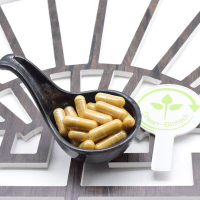 OEM personnalisé GMP Extrait de racine de ginseng rouge coréen à base de plantes