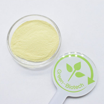 Poudre d'extrait de racine de kava de haute qualité au meilleur prix 50% de kavalactones