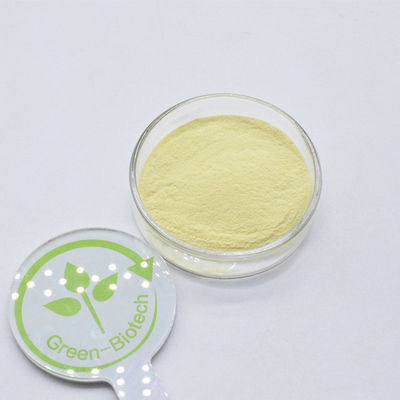 Vente à chaud Extrait de racine de kava de qualité alimentaire Poudre 70% Kava Liquide Kavalactones
