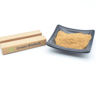 En gros Extraits végétaux naturels en vrac Poudre d'extrait de racine pure de maca