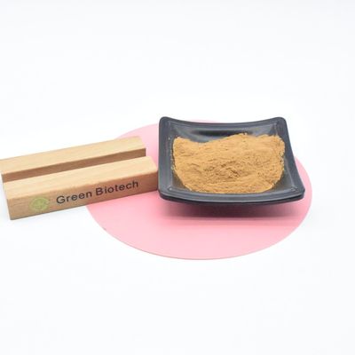 Extrait de plante naturel Produits chauds Extrait de maca naturel poudre pour hommes Amélioration