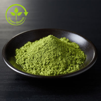 Fournir du thé vert naturel biologique en poudre de qualité cérémonielle