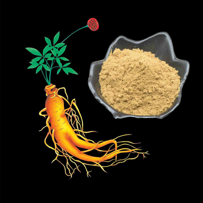 80 Mesh Ginseng Root Extract Powder 1%-80% extraits naturels d'usine