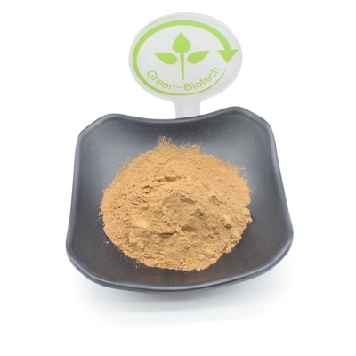 Poudre d'extrait d'usine de 10% Turkesterone