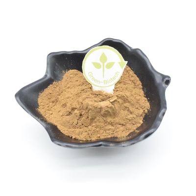 Bodybuilding d'extrait de Turkest d'Ajuga de 2%