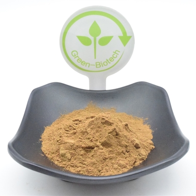 L'Ajuga fonctionnel Turkestanica saupoudrent la poudre d'extrait d'usine de 750mg 1000mg
