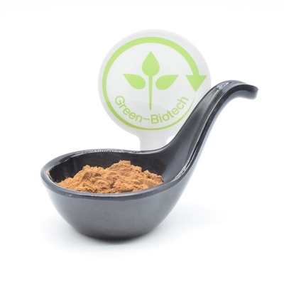 Les sports complète le bodybuilding 2% 250mg 350mg 500mg d'extrait turkest d'Ajuga