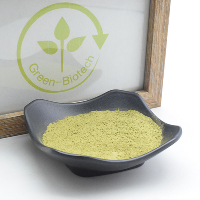 L'usine naturelle cérémonieuse de Matcha extrait anti inflammatoire d'anti anaphylaxie