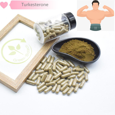 extraits naturels d'usine de 500mg Turkestanica