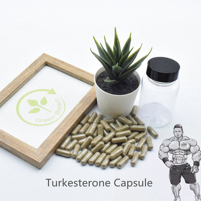 Extraits naturels d'usine de GMP Turkestanica