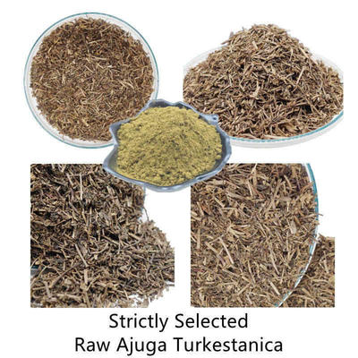 extraits naturels d'usine de 500mg Turkestanica