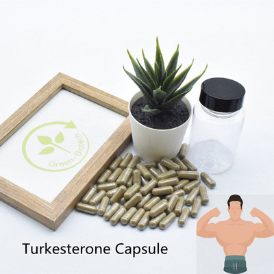 L'Ajuga Turkestanica de 2% 10% complète les extraits naturels d'usine d'Ecdysteroid