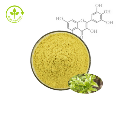 Poudre d'extrait de plante d'écorce de fruit de Bayberry myricétine 98%