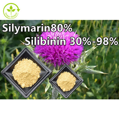 Poudre d'extrait de plante de chardon-Marie 80 % silymarine de qualité alimentaire