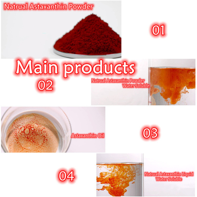 CAS 7542-45-2 1% - poudre d'astaxanthine de 10% pour des soins sains