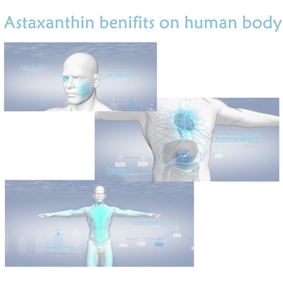 CAS 7542-45-2 1% - poudre d'astaxanthine de 10% pour des soins sains