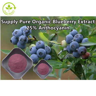 L'extrait organique pur de myrtille saupoudrent l'anthocyanine 25%