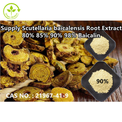 Extrait biotechnologique vert Baicalin 80% 85% 90% 98% CAS de calotte de Baical de grande pureté d'approvisionnement NON : 21967-41-9