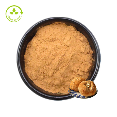 Poudre 30% de champignon de Mane Mycelium Extract Hericium Erinaceus de lions