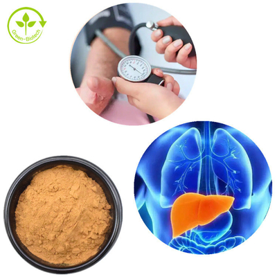 Poudre 30% de champignon de Mane Mycelium Extract Hericium Erinaceus de lions